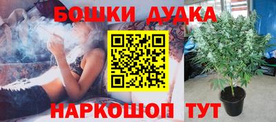 мдпв Новокубанск