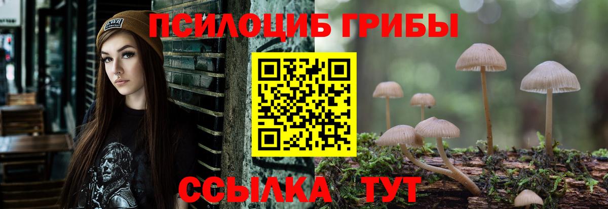 Псилоцибиновые грибы Psilocybe  Псилоцибиновые грибы GOLDEN TEACHER  Вход с VPN  Чернушка 