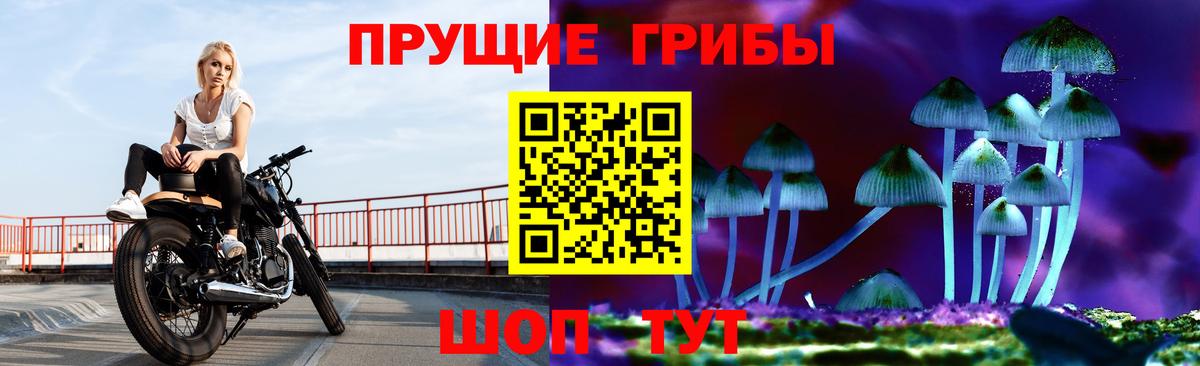  COCAIN Чернушка